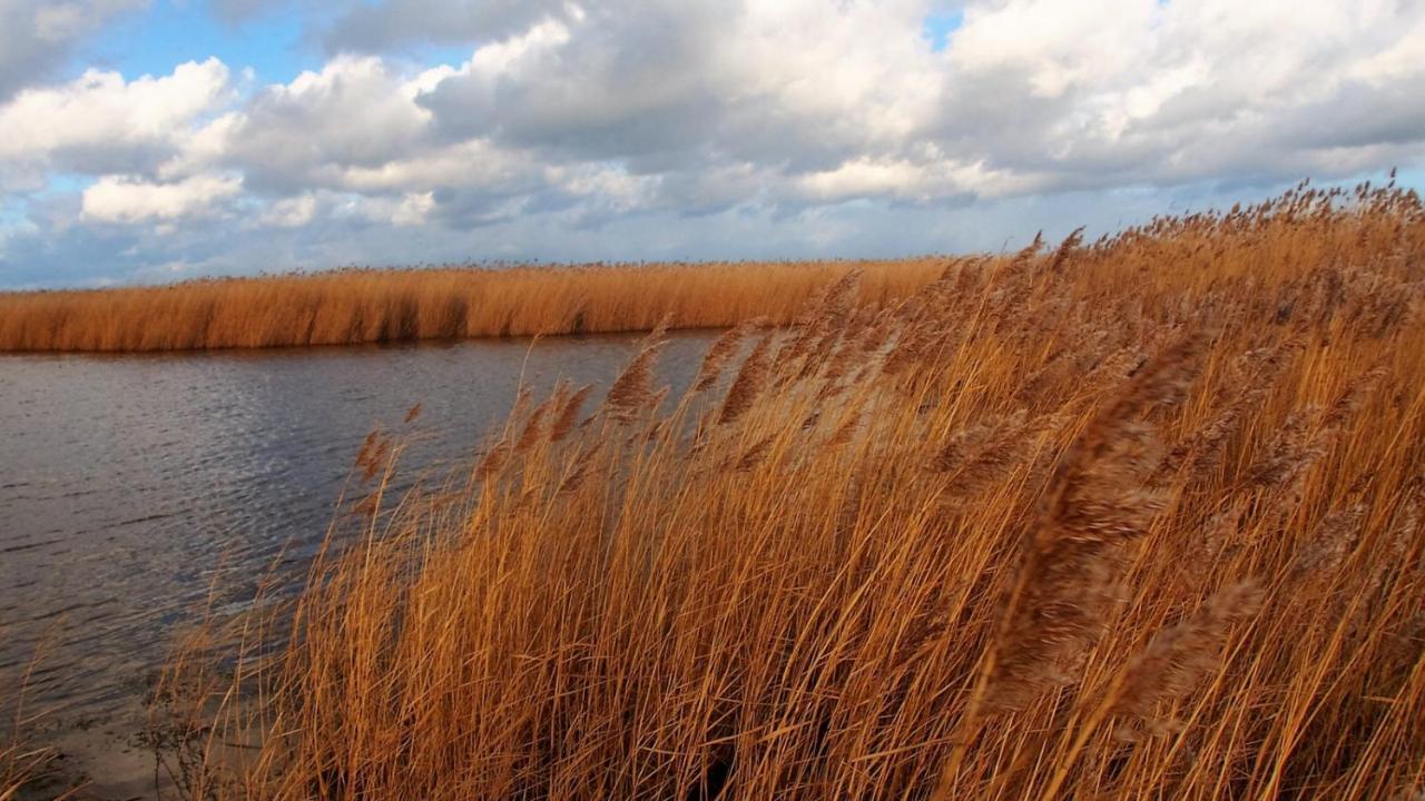 Emilias Hues, Reethaus In Der Bucht Von Wismar Zierow Exterior foto