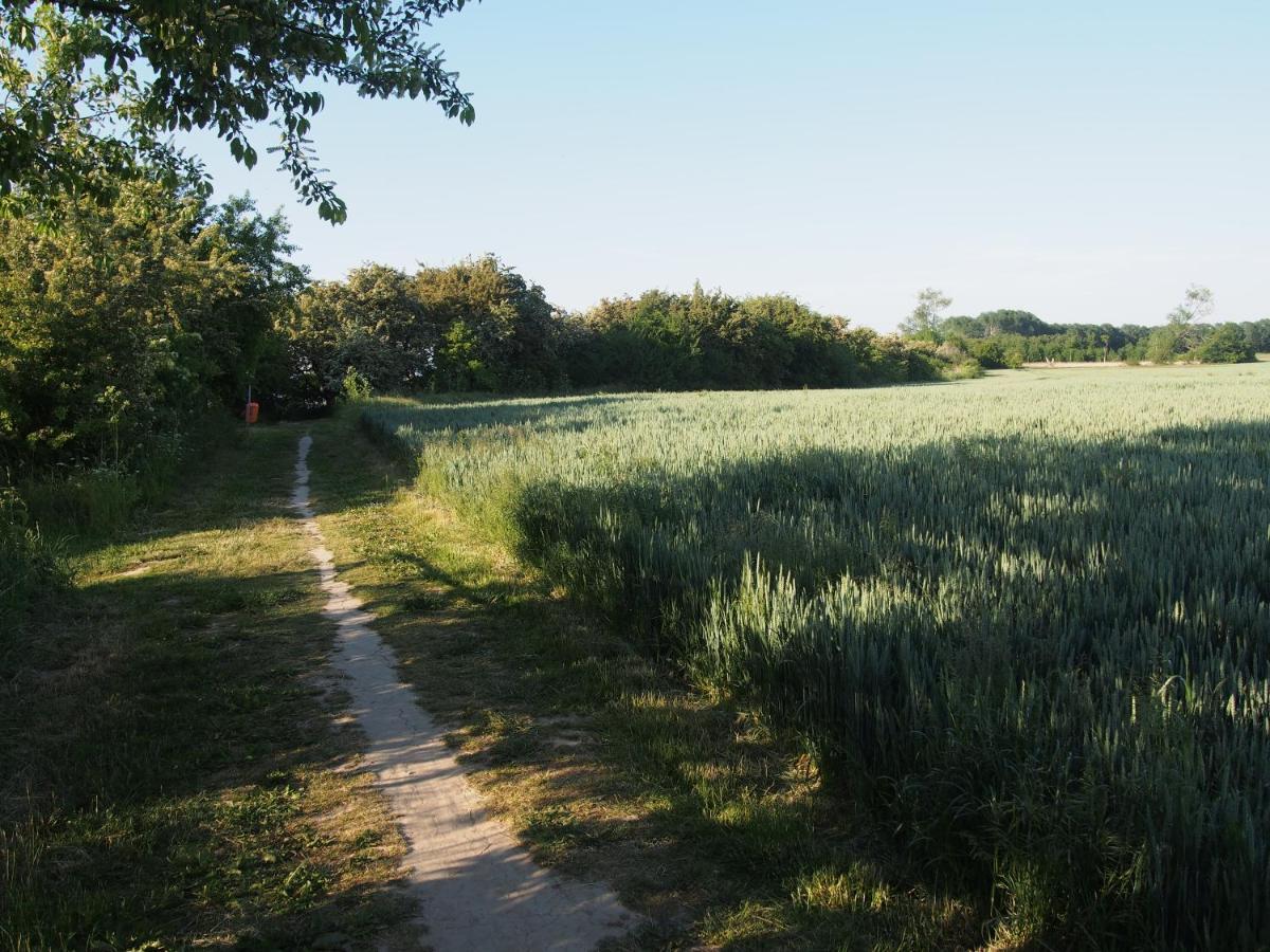 Emilias Hues, Reethaus In Der Bucht Von Wismar Zierow Exterior foto