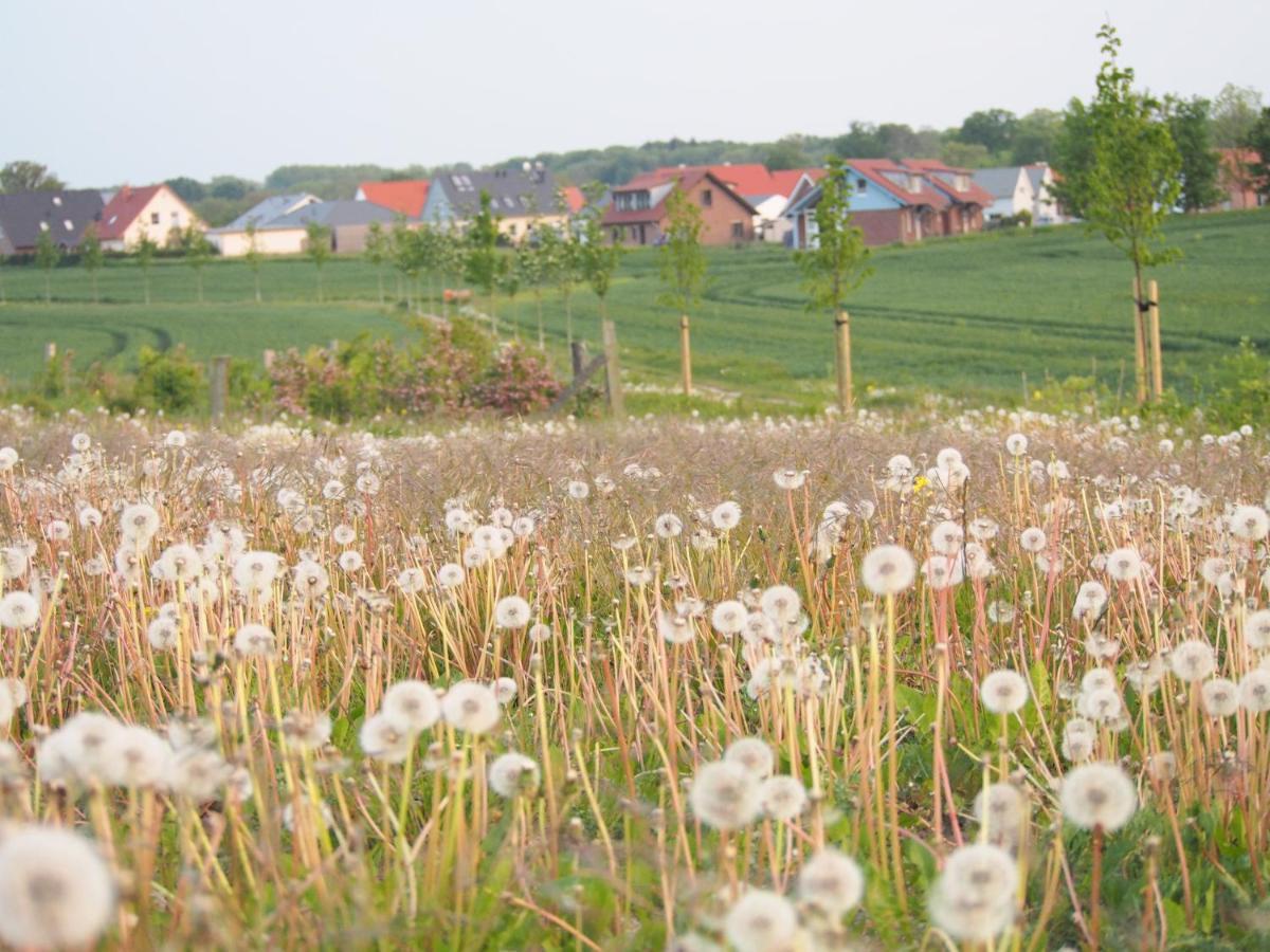 Emilias Hues, Reethaus In Der Bucht Von Wismar Zierow Exterior foto